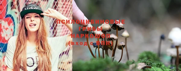 спиды Михайлов