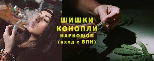 молекула духа Красавино