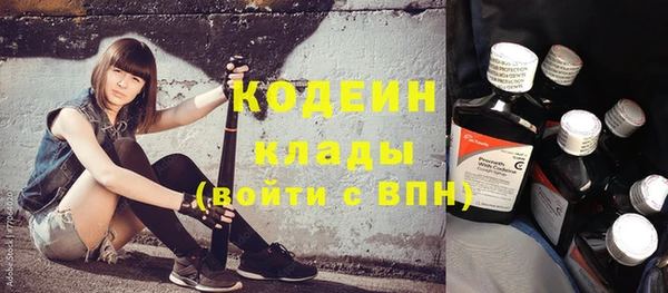 прущие грибы Медногорск