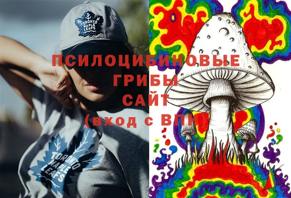 PSILOCYBIN Богородск