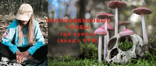 дурь Крымск