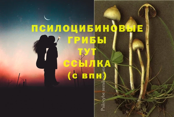 PSILOCYBIN Богородск