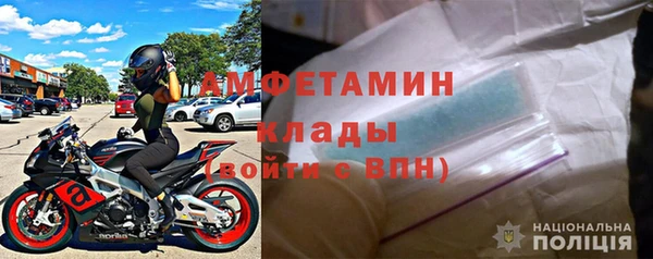 прущие грибы Медногорск