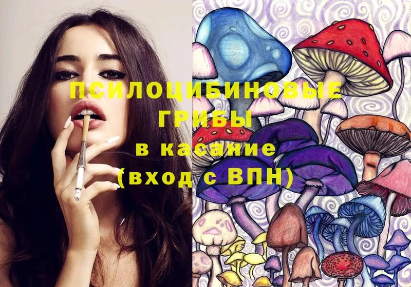 Псилоцибиновые грибы Psilocybe  продажа наркотиков  Саки 