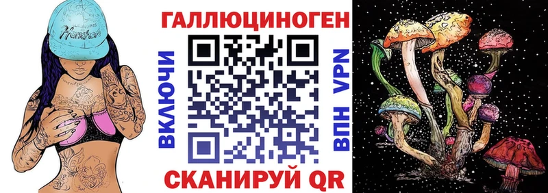 Галлюциногенные грибы Psilocybine cubensis  купить  сайты  KRAKEN как зайти  Саки 