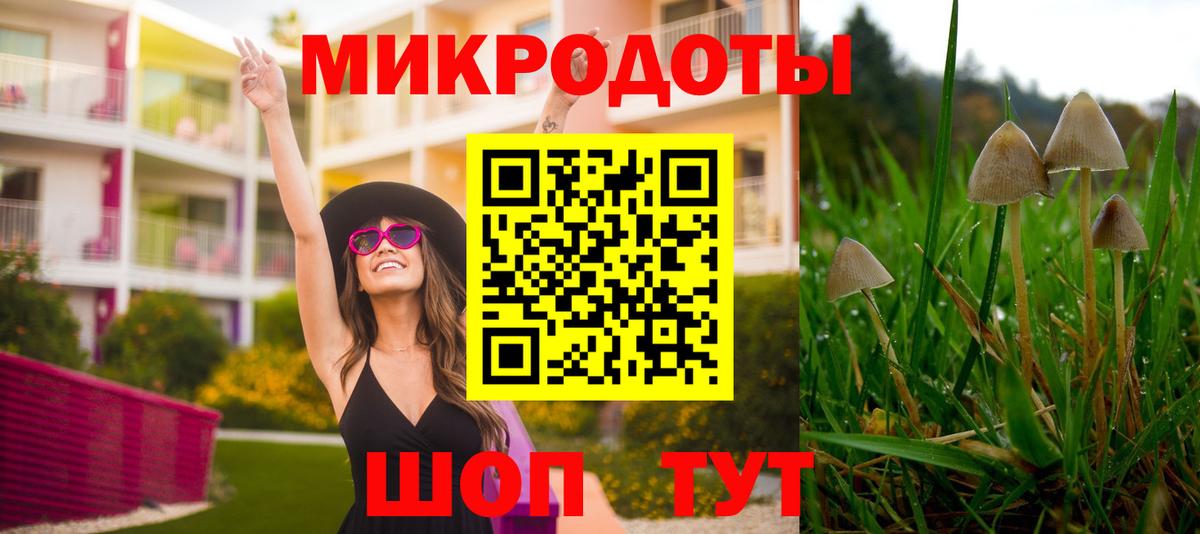 Саки  Псилоцибиновые грибы мицелий  что такое наркотик  Вход с VPN 