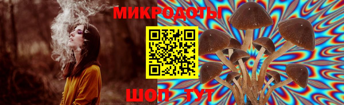 Псилоцибиновые грибы MAGIC MUSHROOMS Саки